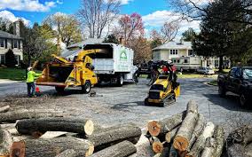 Best Seasonal Cleanup (Spring/Fall)  in Lifornia City, CA