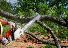 Best Lawn Irrigation Installation and Maintenance  in Lifornia City, CA